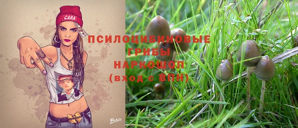 спайс Ессентукская