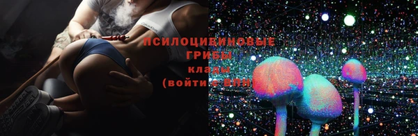 мдпв Вязьма