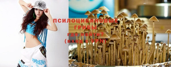 спайс Ессентукская
