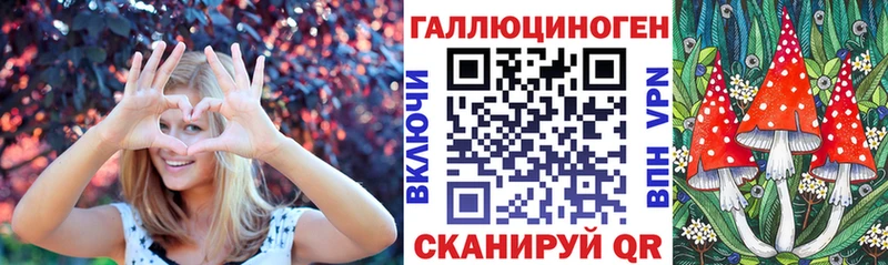 Псилоцибиновые грибы Psilocybe  Ирбит 