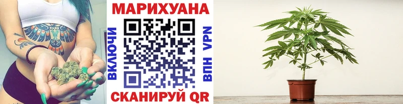 магазин продажи   Ирбит  Шишки марихуана Bruce Banner 